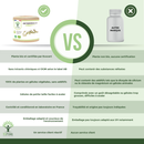 Artemisia bio - Douleurs menstruelles et renforcement musculaire - Complément alimentaire - en capsules