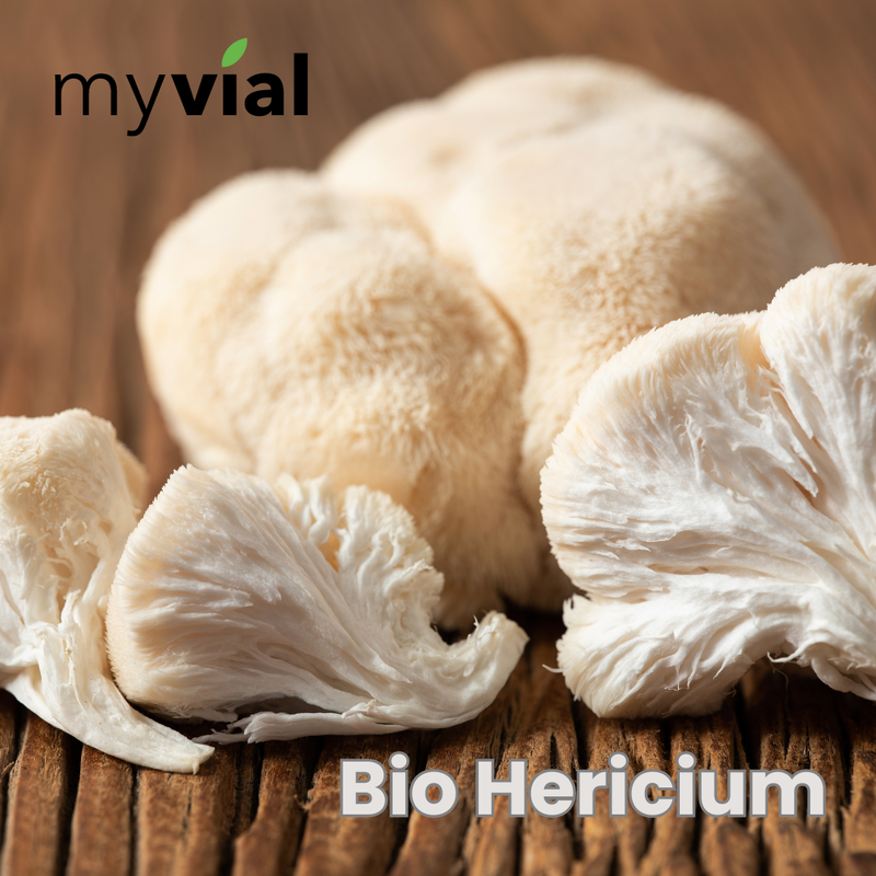 Bio Hericium 120 Kapseln