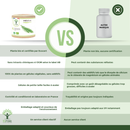 Prêle bio – complément alimentaire en gélules pour soutenir les articulations et la beauté