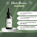 Bachblüten Prüfung Tropfen – natürliche Unterstützung für Konzentration und Selbstvertrauen