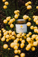 Produkt – Eliah Sahil Zahnpulver Ingwer, sanftes Zahnweiss, Austria Bio Garantie 45g von Eliah Sahil Organic Care GmbH | Mana Shop Schweiz