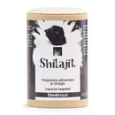 Erbavoglio Shilajit-Kapseln, 60 Stück, 590 mg Nahrungsergänzung mit dunklen Kapseln auf weißen Hintergrund