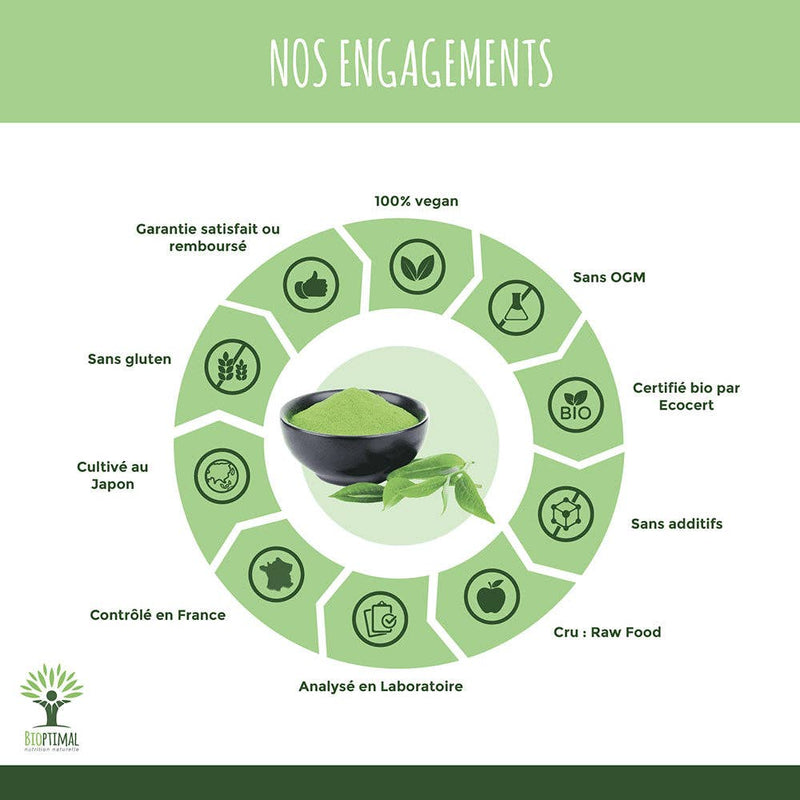 Poudre de thé matcha biologique japonais : concentration, combustion des graisses, perte de poids, minceur