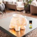 Beleuchtete weiße Keramik-Duftlampe in Elefantenform neben einem Fläschchen ätherischem Öl auf einem Couchtisch.