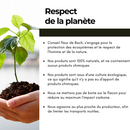 Bachblüten Prüfung Tropfen – natürliche Unterstützung für Konzentration und Selbstvertrauen