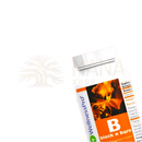 Weißes plastikfläschchen mit orange-schwarzem etikett wellnesspro b block n burn fatburner abnehmen mit weißen kidney bean extrakt
