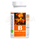 Weiße plastikflasche mit orange etikett und flame design von wellnesspro für fatburner abnehmen mit weißem nierenbohnenextrakt