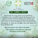 Bachblüten Gewichtsverlust – Natürliche Unterstützung auf dem Weg zu mehr Wohlbefinden