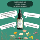 Eine Flasche "Fleur de Bach PEURS" ist umgeben von Sprechblasen, die Anwendungsfälle wie spezifische Phobien (Klaustrophobie, Höhenangst), Angststörungen, Unsicherheiten/mangelndes Selbstvertrauen und vergangene Traumata beschreiben.