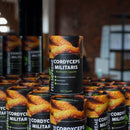 Naturreiche Cordyceps Militaris Pilzkapseln von Feel Supreme, Nahrungsergänzung für Energie, Ausdauer und Leistungsfähigkeit.