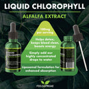 Liposomales flüssiges Chlorophyll von Feel Supreme, Nahrungsergänzung mit fortschrittlicher liposomaler Technologie in Flasche