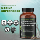 Feel Supreme Seemoos mit Blasenwrack und Spirulina, Nahrungsergänzung, Nahaufnahme der grünen Meeresalge und Spirulina-Pulver.