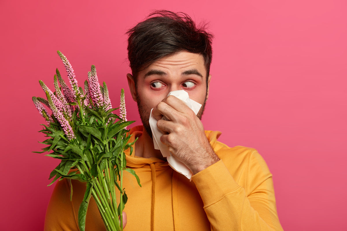 Mann mit Heuschnupfen und roten Augen hält Blumen und nutzt ein Taschentuch vor pinkem Hintergrund.