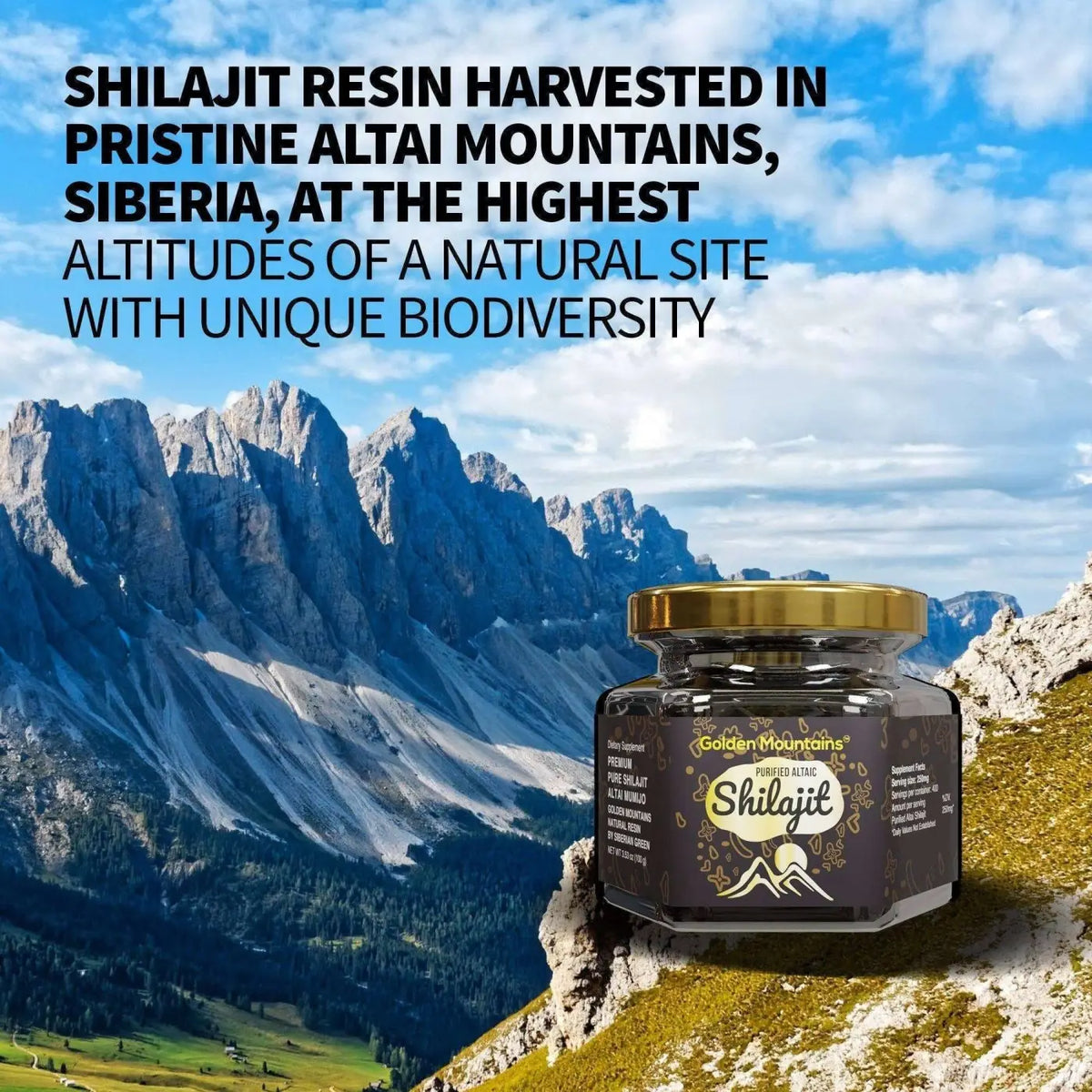 Hochwertiges SiberianGreen Shilajit-Harz, golden Mountains, reines und authentisches Nahrungsergänzungsmittel aus Siberien