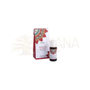 Goloka dragon blood reine ätherische öl in dunkler glasflasche mit weißem verschluss und rotem gold grünem etikett