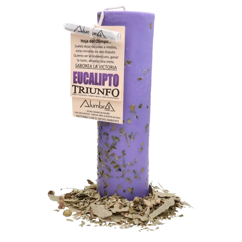 Handgemachte Vives de la Cortada S.L Kerze mit Eukalyptus, violett, elegantes Design, natürliche Duftnote, Triumph-Serie