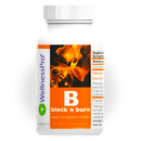 HARMONIFY Fatburner Nahrungsergänzung mit Guarana, Ingwer, Phaseolamin und Enzymen, 775 mg, natürliche Abnehm-Formel