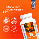 HARMONIFY Fatburner Nahrungsergänzung mit Guarana, Ingwer, Phaseolamin und Enzymen, 775 mg, natürliche Abnehmformel