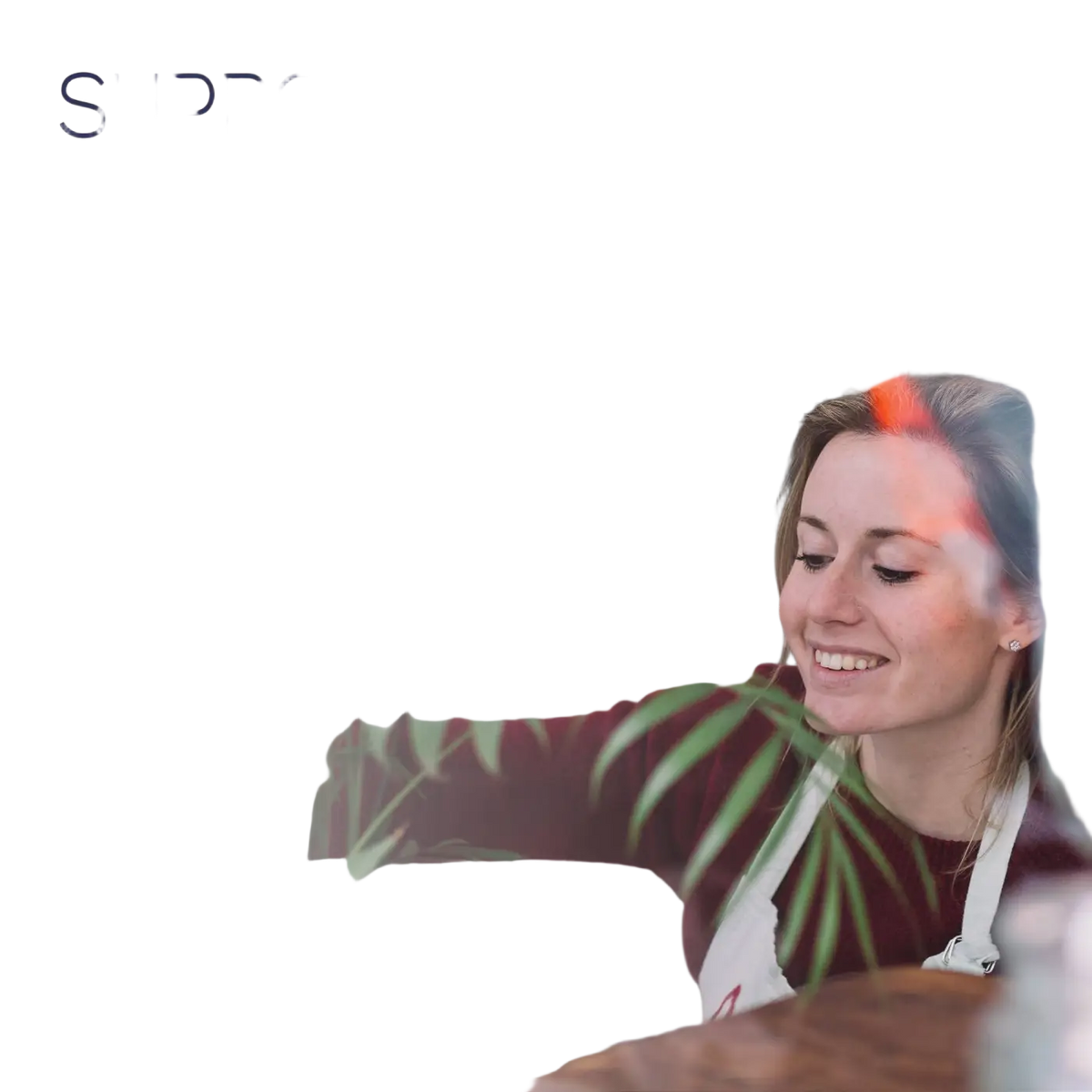 HARMONIFY Safranextrakt 88,5 mg in veganen Kapseln, unterstützt Stimmung, Augen und Appetit, aus Crocus sativus L.