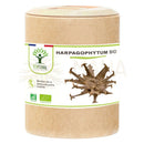 Braune zylindrische dose harpagophytum bio teufelskrallen kapseln mit grüner und weißer etikettierung für unterstützung für verdauung und appetit