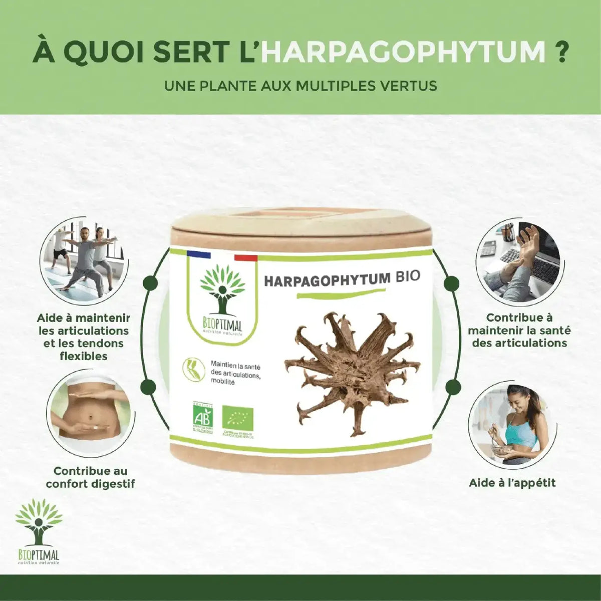 Bioptimal Bio Harpagophytum Teufelskrallen Nahrungsergänzung in 60 Kapseln, fördert Verdauung, Appetit und Gelenkgesundheit