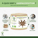 Ein zylindrischer behälter harpagophytum bio teufelskrallen kapseln mit beiger abdeckung und wurzelillustration zur unterstützung für verdauung und appetit
