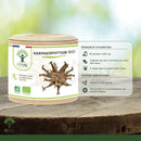 Ein zylindrischer behälter mit harpagophytum bio teufelskrallen kapseln und natürlichem beige-lid zur unterstützung für verdauung und appetit