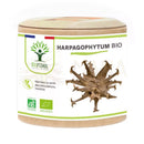 Ein zylindrischer harpagophytum bio teufelskrallen karton mit grünem etikett und bild der getrockneten frucht zur unterstützung für verdauung und appetit