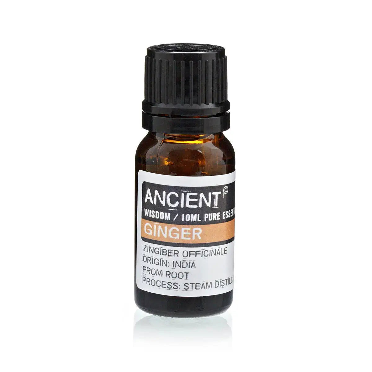 Ingwer Ätherisches Öl 10 ml von AW Artisan – Produktfoto der Ölflasche aus Zingiber officinale.