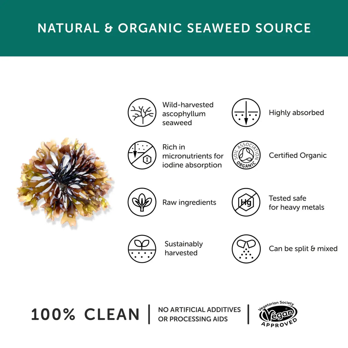 Bio Jodpräparat von Together Health, 30 Kapseln, Nahrungsergänzung mit wild geerntetem Jod, natürliche Inhaltsstoffe