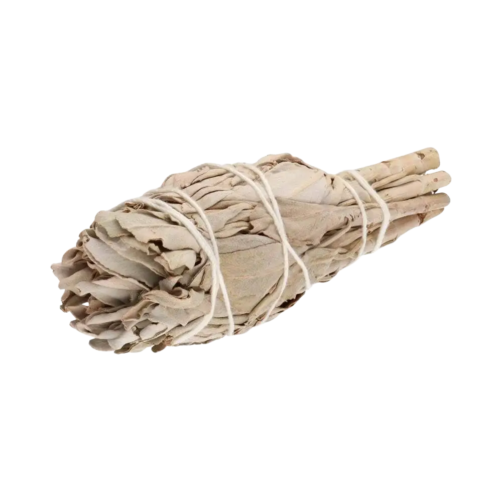 Kalifornische Fackel aus weißem Salbei Räucherbündel von Vives de la Cortada SCP, Salvia Apiana für Räucherzeremonien