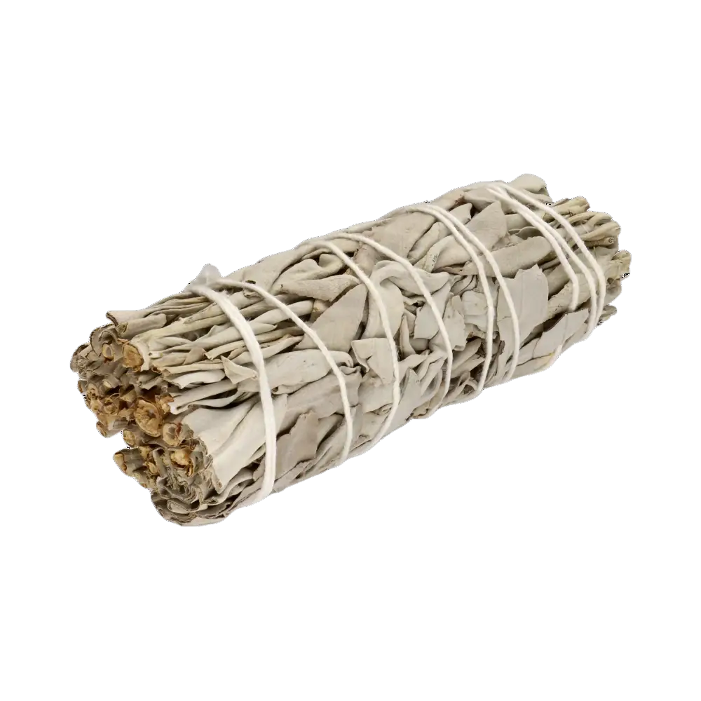 Kalifornischer weißer Salbei (Salvia apiana) Räucherwerk in einem Bündel, von Vives de la Cortada S.L, für Räucheranwendungen