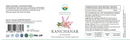 Kanchanar vegacaps kapseln in weiß-grünem paket zur natürlichen unterstützung für hautgesundheit und hormonbalance
