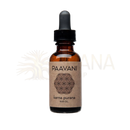 Braune glas-tropfflasche mit schwarzem verschluss paavani karna purana ayurvedisches ohrenöl gegen trockenheit und unbehagen