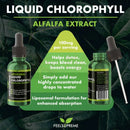 Grüne glasflasche mit schwarzem tropfverschluss und liposomales flüssiges chlorophyll alfalfa extract von feelsupreme mit fortschrittlicher liposomaler technologie und antioxidativer kraft