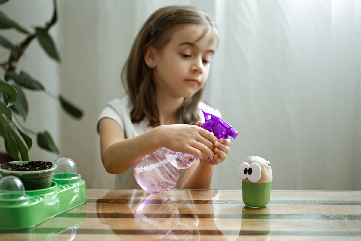 Junges Mädchen sprüht mit einer violetten Sprühflasche eine kleine Pflanze auf einem Tisch.