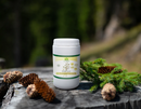 Bio Flohsamenschalen von Living Vital, Ayurveda-Nahrungsergänzung für Darmreinigung und Vitalität, zeigt getrocknete Flohsamen.