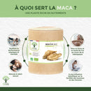 Braune zylindrische maca bio kapseln von bioptimal mit weißem etikett und getrocknetem maca wurzelbild für mentale leistung im mana shop