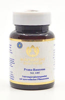 Prana Rasayana Maharishi Ayurveda, 20 Stück, natürliche Kombinationspräparate in Packung, traditionelle ayurvedische Heilmittel