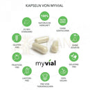 Drei off-white transparente kapseln grifola frondosa aus traditioneller verwendung von mana shop zentral angezeigt