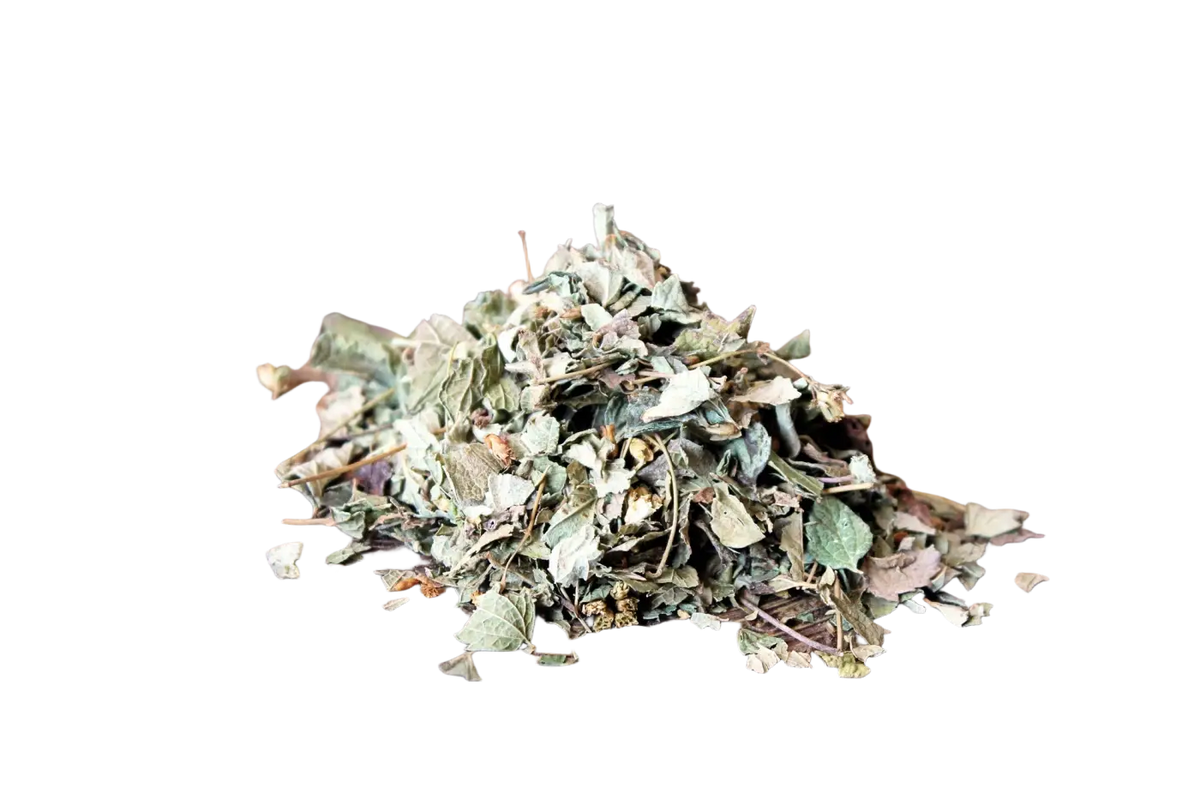 Getrocknetes mexikanisches Traumkraut Calea zacatechichi für luzides Träumen, in einer Teetasse, von Ayamani Naturals.