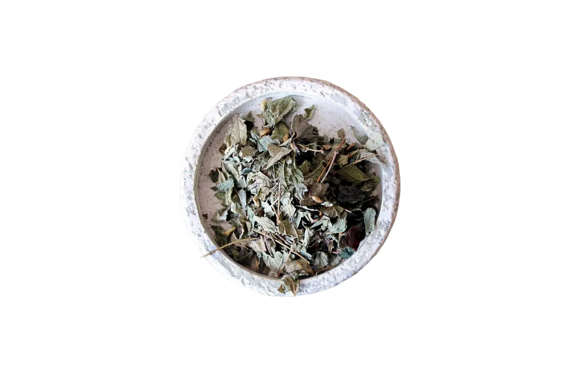 Getrocknetes mexikanisches Traumkraut Calea zacatechichi für luzides Träumen, als Tee von Ayamani Naturals.