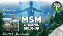 Zwei blaue und weiße pouches msm organic sulfur von ancient purity mit 99% reinheit für haut gelenke und darmwohl