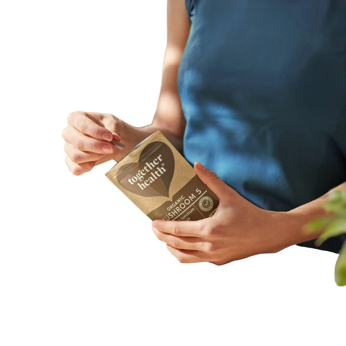 Vitalpilze Mushroom 5 Blend mit Lion’s Mane, Chaga, Reishi und Shiitake in 60 Kapseln, hochdosiert, für das Immunsystem.