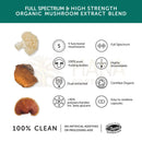 Organischer fruchtkörper mushroom 5 blend von mana shop mit lion’s mane reishi chaga in 60 kapseln hochdosiert