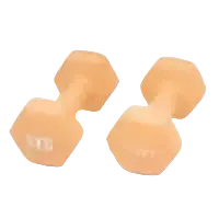 Myga Paar Hex-Kurzhanteln 1-10 kg, goldene sechseckige Hanteln, Yogazubehör für Krafttraining, stabil und vielseitig