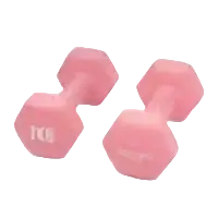 Myga Paar Hex-Kurzhanteln 1-10 kg, rosa, sechseckiges Yogazubehör, für Krafttraining und Fitnessübungen.