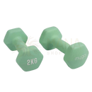 Pair of matte mint green myga paar hex-kurzhanteln 2kg with non-slip finish for effective workouts mana shop image to zoom