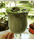 Bio Chlorella Pulver von myvial, 100g, veganes Nahrungsergänzungsmittel aus Chlorella Vulgaris, grüne Algenpulver in Dose