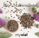 Mariendistelsamen und -blüten von myvial